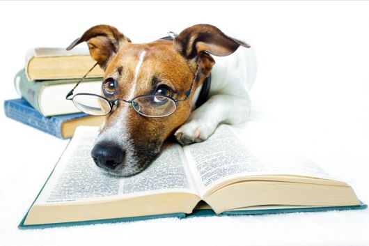 free clipart dog reading - photo #47